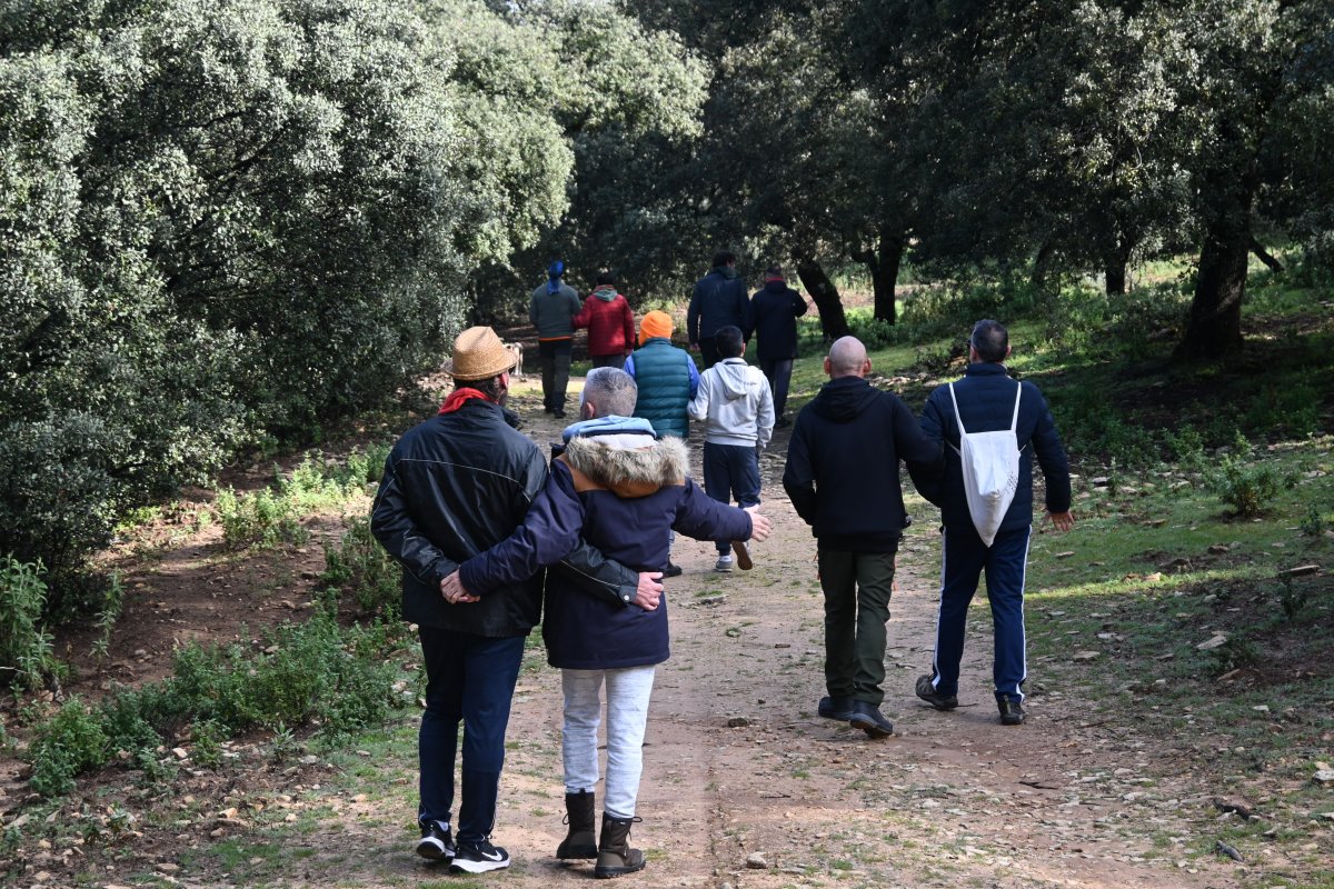 naturaleza caminata compañerismo